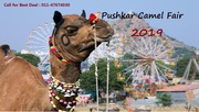 Rajasthan Tour Packages | Pushkar Camel Fair Festival 2019