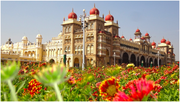 Mysore One Day Trip