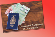 Canada PR Consultant in Chandigarh