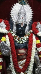 Padmavathi Travels - Tirupati packages