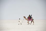 Kutch Carnival Safari On Hamirsar Lake Tour