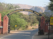 Best Tiger safari zone in Ranthambore