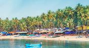 Goa Tour family Package.