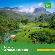 places to visit in munnar