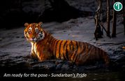 Sundarban Package Tour from Kolkata