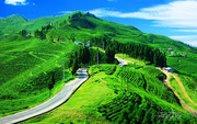 Discover the Enchanting Beauty of Sikkim: Tailored Tour Packages by Wa