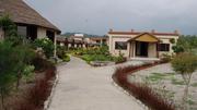 Corporate Offsite in Jim Corbett | Alaya Resorts & Spa Resort in Jim C