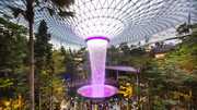 Experience Singapore's Jewel: Canopy Park & Rain Vortex