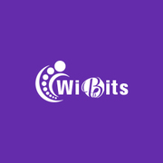 One-Stop Solution For Digital Marketing & Website Needs | Wibits Web S