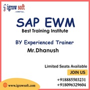 SAP EWM Training in Hyderabad | EWM Online Training | Igrowsoft