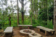 Homestay in Chickmagalur