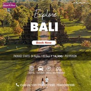 bali tour package leisure n more 