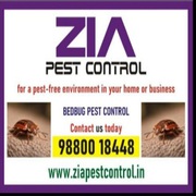 Zia Pest Control  contact for special discount | Bed Bug Blr Treatment